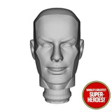 3D Printed Head: Iceman Spider-Friends Version for WGSH 8" Action Figure (Ice Blue)