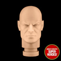 3D Printed Head: Lex Luthor for WGSH 8
