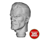 3D Printed Head: The Punisher Comic Version "Spidey Villain" for WGSH 8" Action Figure