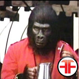 Planet of the Apes Frank 8” Custom Action Figure w/ Box Art
