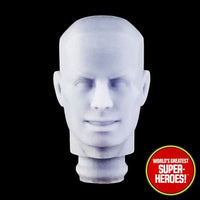 3D Printed Head: Iceman Spider-Friends Version for WGSH 8