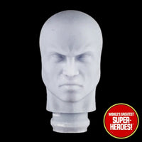 3D Printed Head: Silver Surfer for WGSH 8
